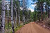 185 Wildcat Creek Drive - Photo 3
