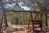 493 Horseshoe Drive - Photo 6