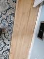 1822 Pikes Peak Avenue - Photo 23