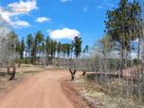 100 Wolverine Drive - Photo 12