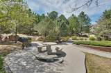 3040 Mandalay Grove - Photo 23