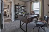 8570 Blue Feather Loop - Photo 18