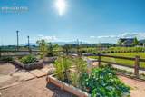 5989 Bennach Grove - Photo 49