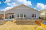 9329 Bugaboo Drive - Photo 32