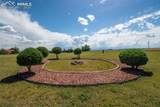 10130 Heritage Park Trail - Photo 42