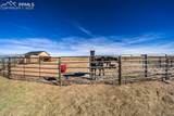 24225 Myers Road - Photo 10
