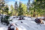0 Rock Ridge Road - Photo 4