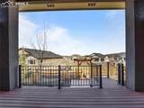 4585 Mesa Top Drive - Photo 42