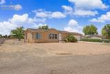 667 Burro Drive - Photo 6