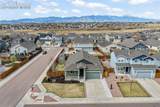 7296 Alpine Daisy Drive - Photo 2