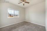 7296 Alpine Daisy Drive - Photo 23