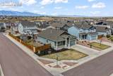 7296 Alpine Daisy Drive - Photo 3