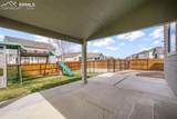 7296 Alpine Daisy Drive - Photo 42