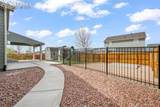 7296 Alpine Daisy Drive - Photo 45