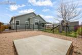 7296 Alpine Daisy Drive - Photo 46
