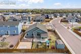 7296 Alpine Daisy Drive - Photo 49