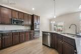 7296 Alpine Daisy Drive - Photo 8