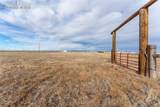 995 Matt Drive - Photo 45