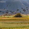 2997 County Road 20.5 - Photo 3
