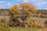 2997 County Road 20.5 - Photo 4