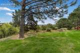 610 Autumn Crest Circle - Photo 3
