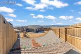 8890 Bittercress Drive - Photo 35