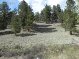 1699 Monarch Drive - Photo 2