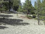 1699 Monarch Drive - Photo 3