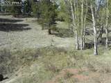 1699 Monarch Drive - Photo 4