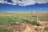 37188 Truckton Road - Photo 29