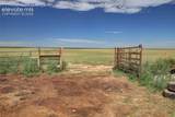 37188 Truckton Road - Photo 31