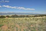 800 Wet Mountain Trail - Photo 42