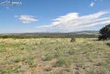 800 Wet Mountain Trail - Photo 43