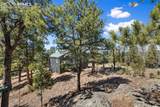 18 Mt Powderhorn Lane - Photo 7