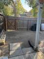 2534 St Vrain Street - Photo 21