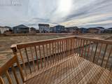 3418 Bella Notte Drive - Photo 44