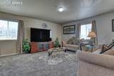 3777 Swainson Drive - Photo 13