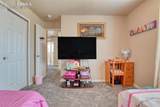 3777 Swainson Drive - Photo 38