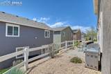 3777 Swainson Drive - Photo 6