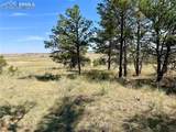 32041 Cattle Circle - Photo 10