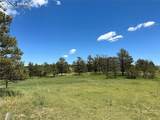 32041 Cattle Circle - Photo 14