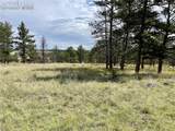 32041 Cattle Circle - Photo 4