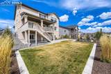 10081 Waterton Canyon Way - Photo 39