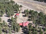 37081 County Road 77 - Photo 48