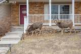 6424 Rifle Circle - Photo 3