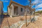 5877 Wild Rye Drive - Photo 38