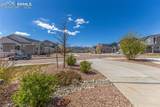5877 Wild Rye Drive - Photo 8