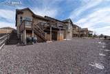 10862 Torreys Peak Way - Photo 42