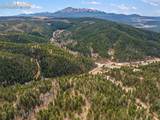 12810 Rampart Range Road - Photo 47