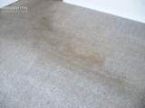 11269 Pura Vida Way - Photo 20